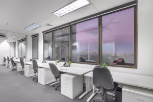 1 Person Private Office