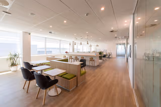 1 Person Virtual Office