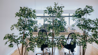 1 Person Coworking Desk
