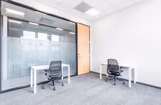 1 Person Virtual Office