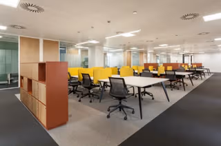 1 Person Virtual Office
