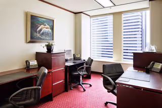 1 Person Virtual Office