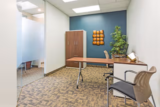 1 Person Virtual Office