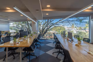 6 Person Coworking Desk