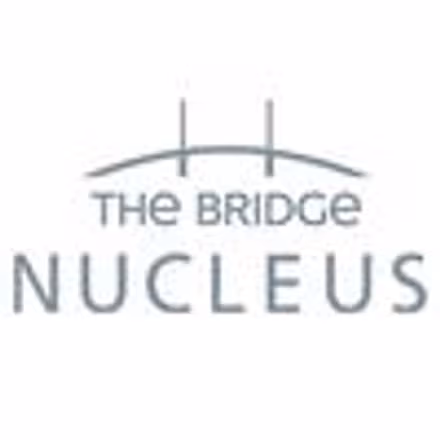 Logo Of The Bridge Nucleus