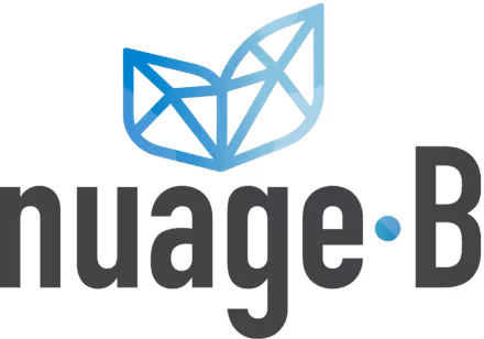 Logo Of Nuage B