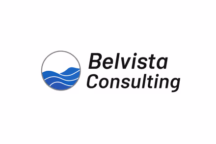 Belvista Consulting