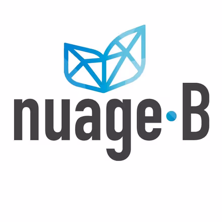 Logo Of Nuage B