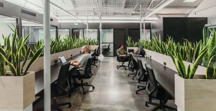 384 Keilor Road, Niddrie - Image 3