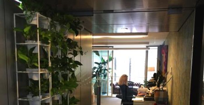 24-30 Springfield Avenue, Potts Point - Image 2