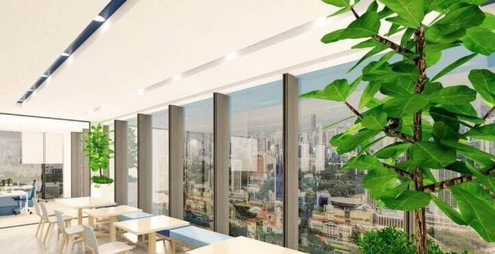 15 Moore Street, Canberra - Image 5