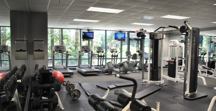 10150 Highland Manor Drive, Tampa - Image 3