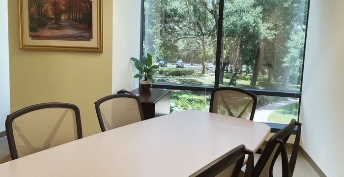 10150 Highland Manor Drive, Tampa - Image 3