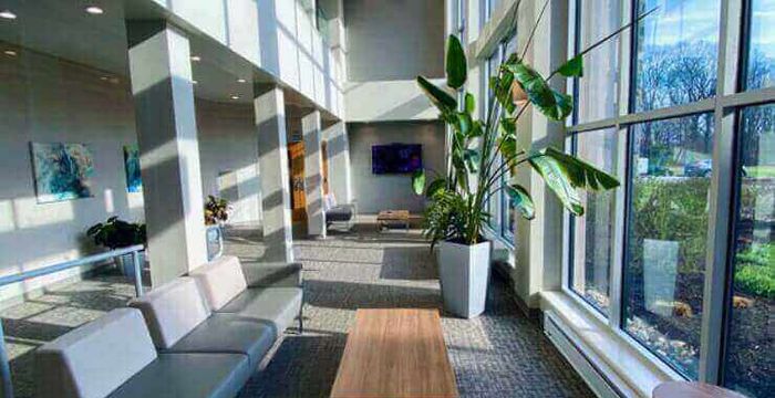 40 Lloyd Ave, Malvern - Image 4