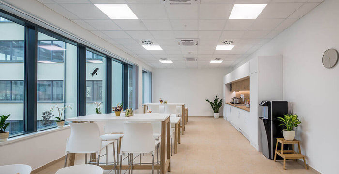 23 Barna Utca, Debrecen - Image 3