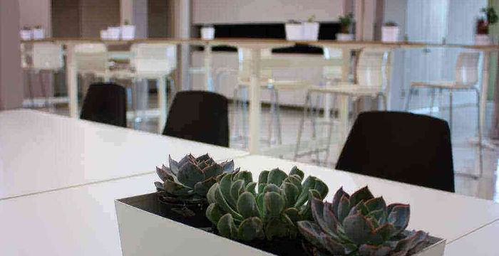 220 W Tennessee St, Florence - Image 4