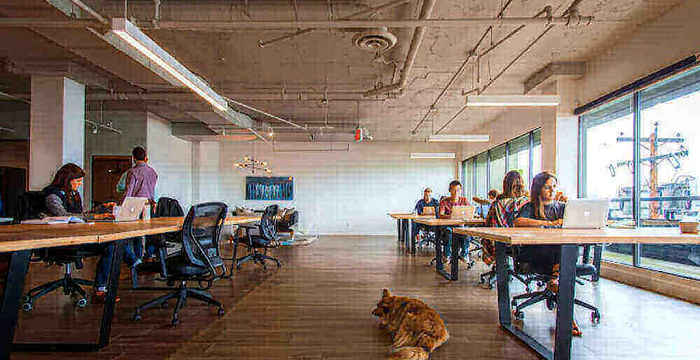 225 W 8TH AVE 225 W 8th Ave, Vancouver - Image 2