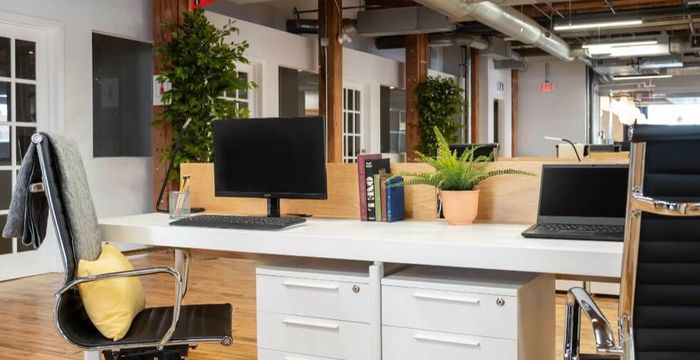 215 Spadina Ave, Toronto - Image 2