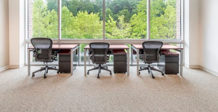 Mansell Forest - Image 2