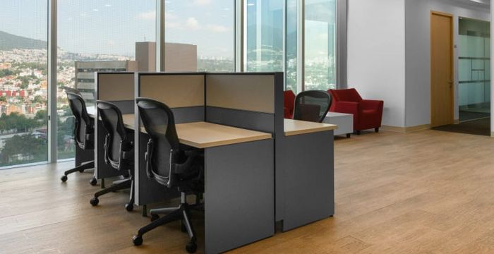 Rincon Del Pedregal, Mexico City - Image 4