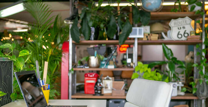 109-129 Blaxland Road, Ryde - Image 4