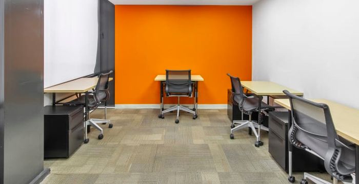 Ejercito Nacional 216 Veronica Anzures, Mexico City - Image 2