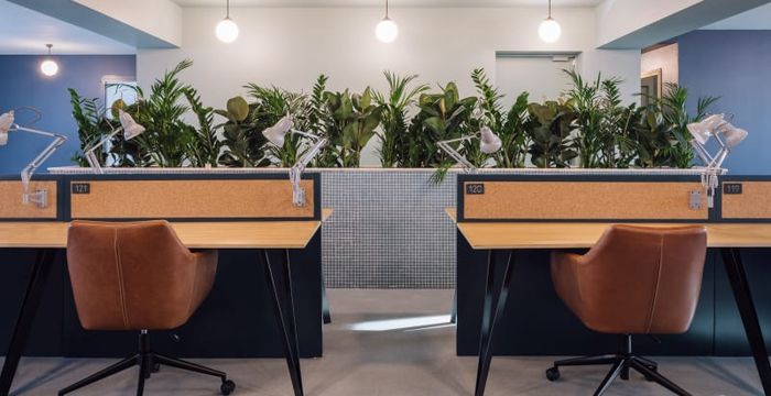 32 Rua Mouzinho Da Silveira, Lisbon - Image 4