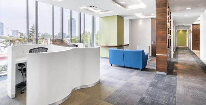 Leibnitz 117 Anzures Miguel Hidalgo, Mexico City - Image 2