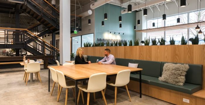 Blue Back Square Blue Back Square - Image 3