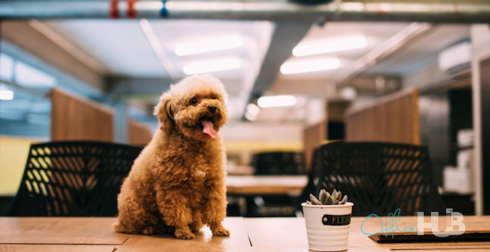 7 158A Connaught Road West, Sai Ying Pun - Image 4