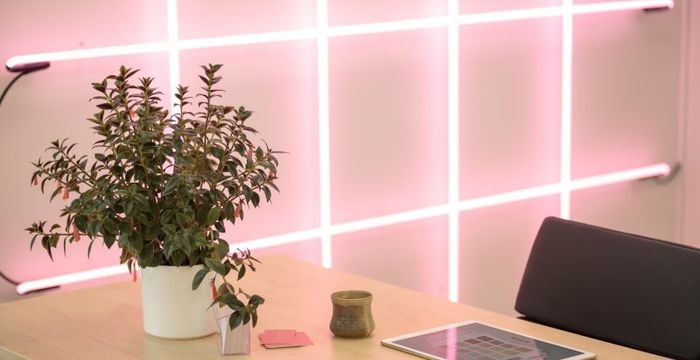 50 Devon Street West, Taranaki - Image 5