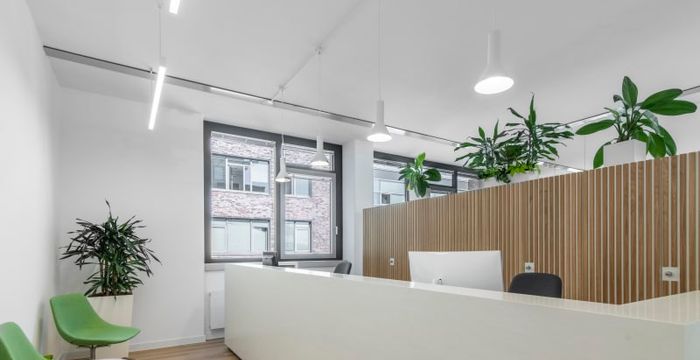 291b Hanauer Landstrasse, Frankfurt Am Main - Image 5