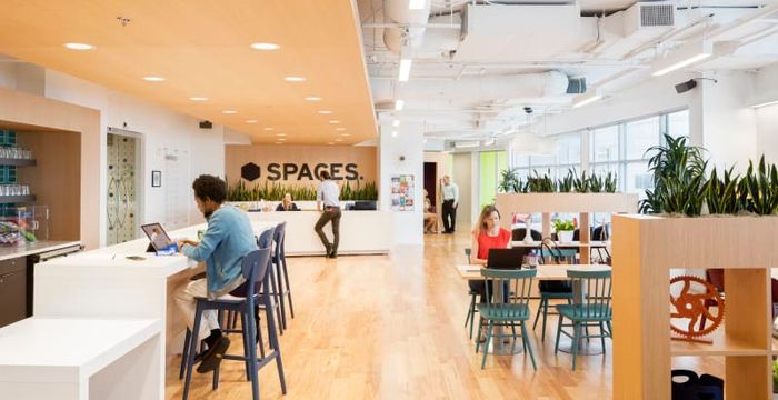 4445 Willard Ave, Chevy Chase - Image 3