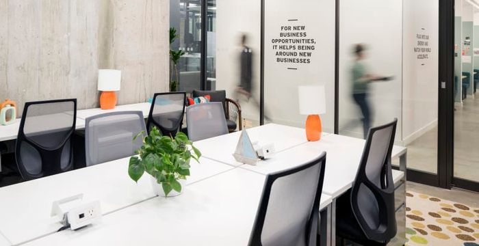 The Paramount - Image 5