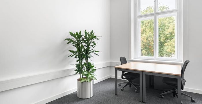 Promenade 23, Linz - Image 3