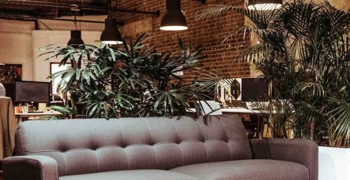 46-52 Meagher Street, Chippendale - Image 4