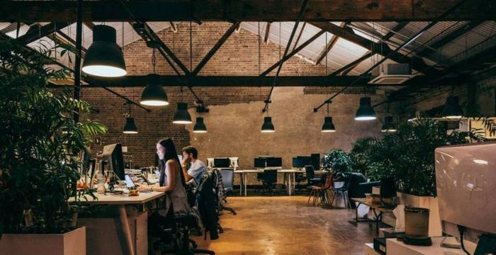 46-52 Meagher Street, Chippendale - Image 3