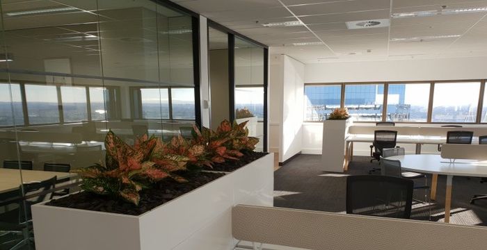 31 Market Street, Sydney - Image 3