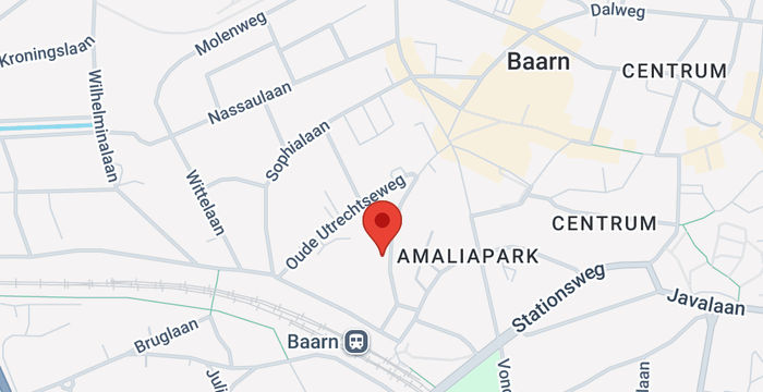 Amalialaan 126, Baarn - Image 2