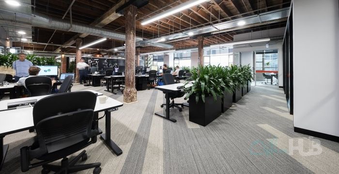 80 Bay Street, Ultimo - Image 4