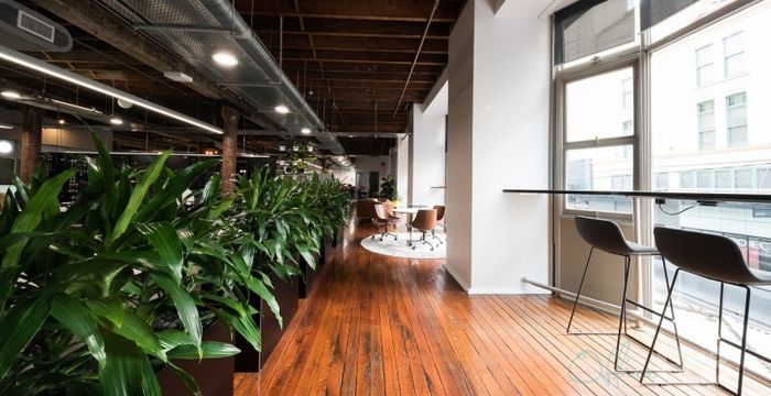 80 Bay Street, Ultimo - Image 5