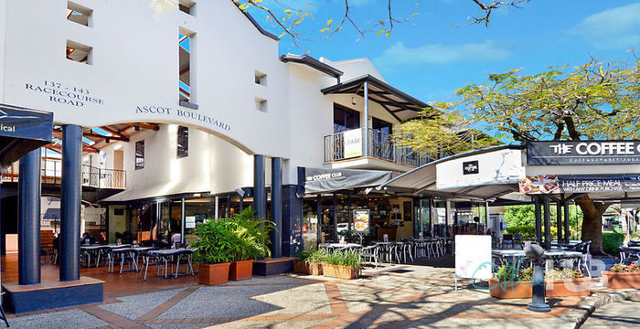 143 Racecourse Road, Ascot - Image 5