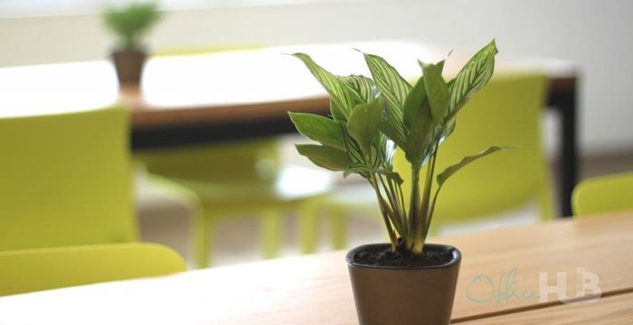 43-55 Wyndham Street, Central - Image 4