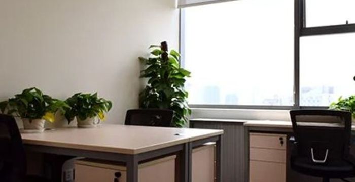 688 Dalian Road, Yangpu District - Image 4