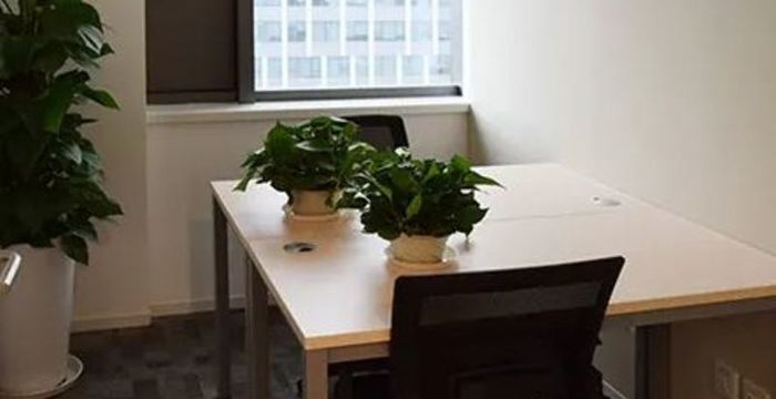 688 Dalian Road, Yangpu District - Image 5