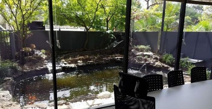 58 Greenhill Road, Wayville - Image 4