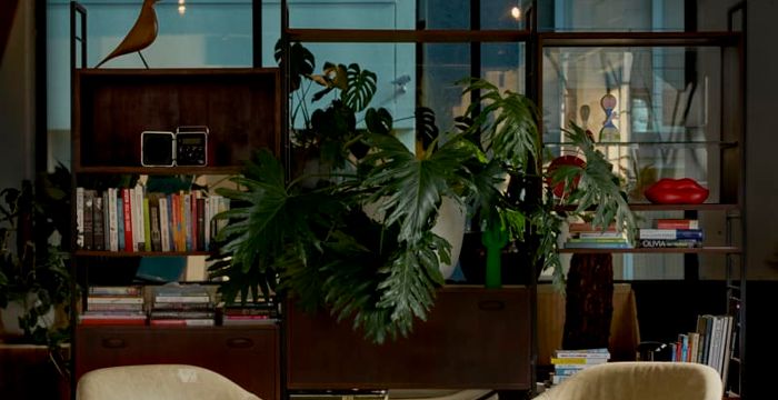 231 Chapel St, Prahran - Image 4