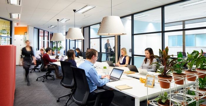 60 Margaret Street, Sydney - Image 4