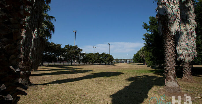 7 Rosebery Place, Balmain - Image 3