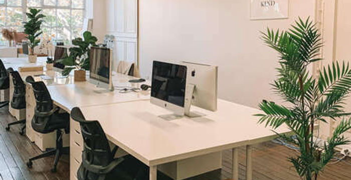 151 Foveaux Street, Surry Hills - Image 3